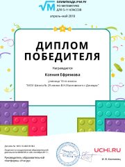 Diplom_Kseniya_Efremova_5884629.pdf